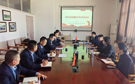 標(biāo)題：銷售黨支部召開組織生活會暨民主評議黨員會議
瀏覽次數(shù)：364
發(fā)表時(shí)間：2025-02-26
